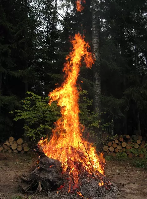 Огненный зверь. Я в шоке.