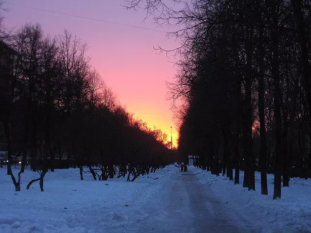 Закат. Сиреневый бульвар.