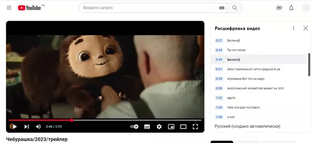 Скриншот с Youtube с расшифровкой видео