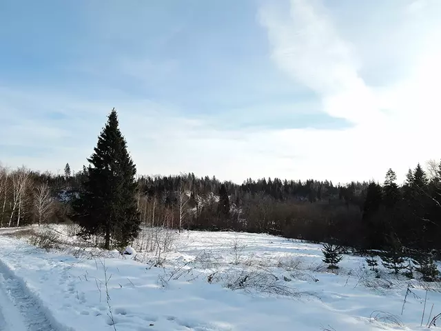 Ноябрь-2016. Подмосковье.