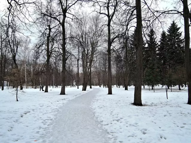 Парк героев Первой мировой войны