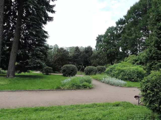 Парк Сокольники. Большой розарий.