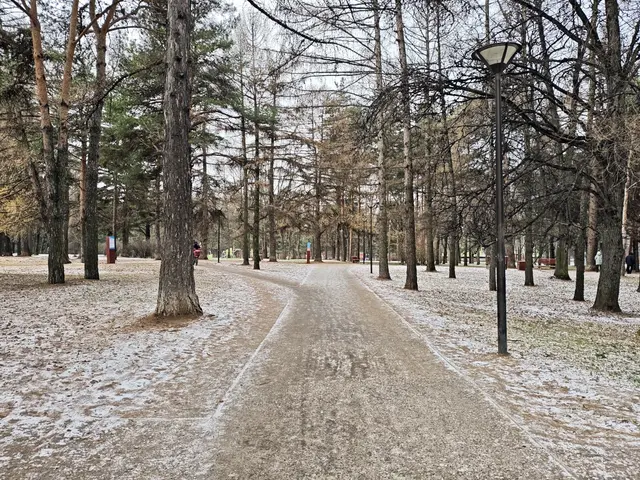 Аршиновский парк Аршиновский парк