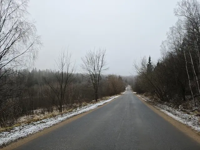 Туманное утро, Подмосковье, Одинцовский район Туманное утро, Подмосковье, Одинцовский район