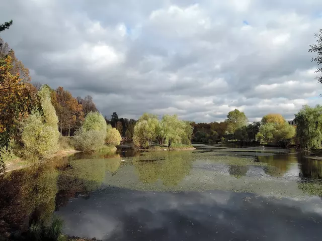 Бабаевский пруд