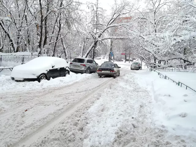 Гольяново. Снегопад - 2018.