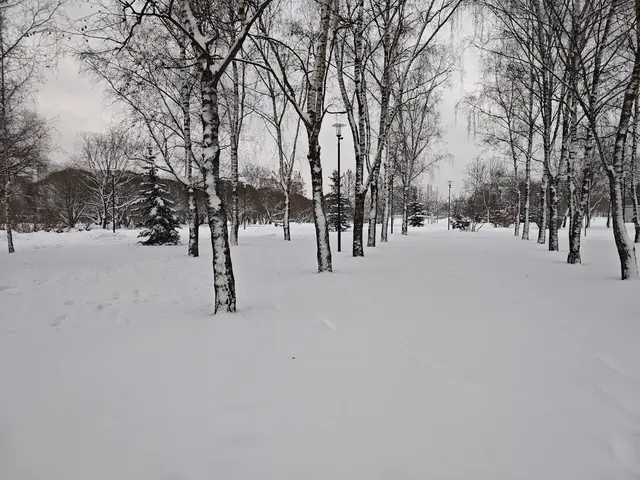 Гольяновский парк Гольяновский парк