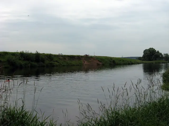 Москва-река, июнь 2010 Москва-река, июнь 2010