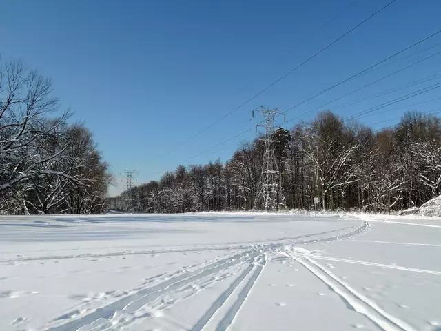 Измайловский парк