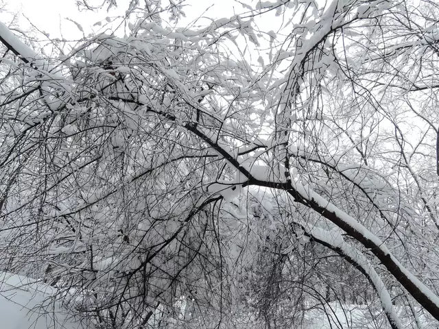 Гольяново. Снегопад - 2018.