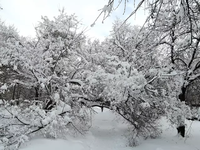 Гольяново. Снегопад - 2018.