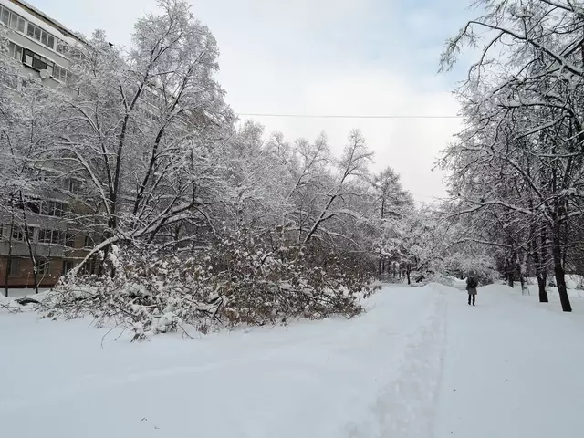 Гольяново. Снегопад - 2018.