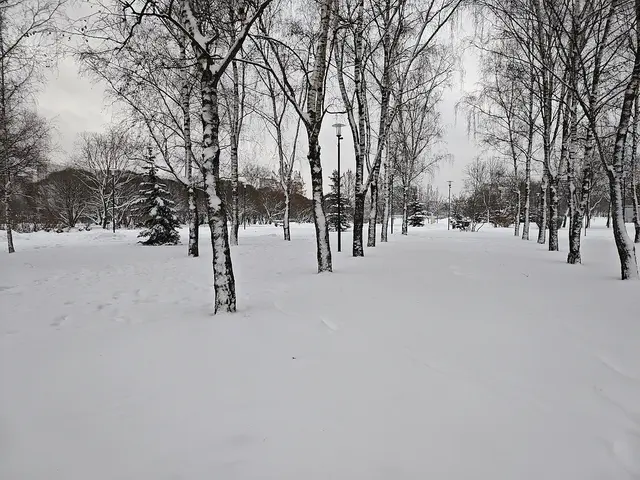 Гольяновский парк Гольяновский парк
