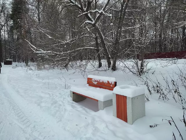 Благоустроенная территория возле Бабаевского пруда