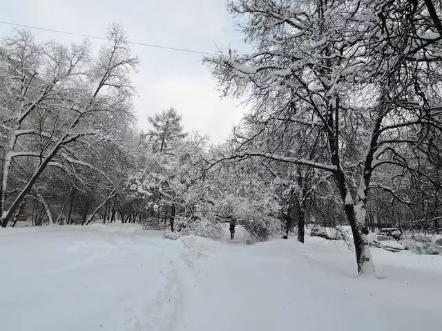 Гольяново. Снегопад - 2018.