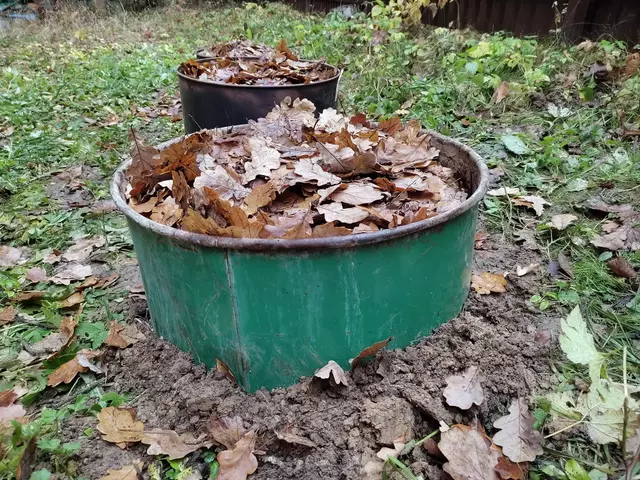 Клумбы для садовой земляники