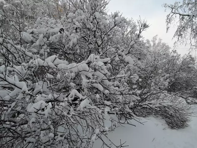 Гольяново. Снегопад - 2018.