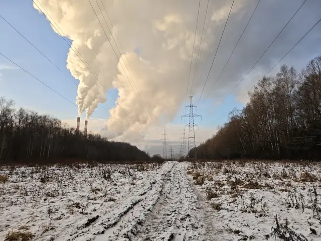 Лосиный остров. ЛЭП. Лосиный остров. ЛЭП.
