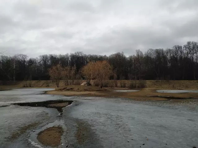 Бабаевский пруд