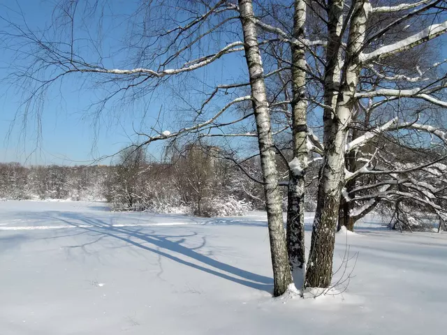 Измайловский парк