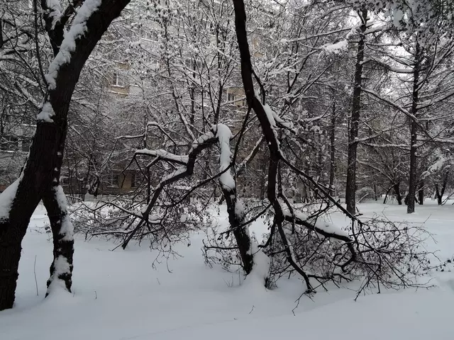 Гольяново. Снегопад - 2018.