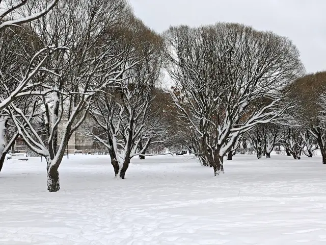 Гольяновский парк Гольяновский парк