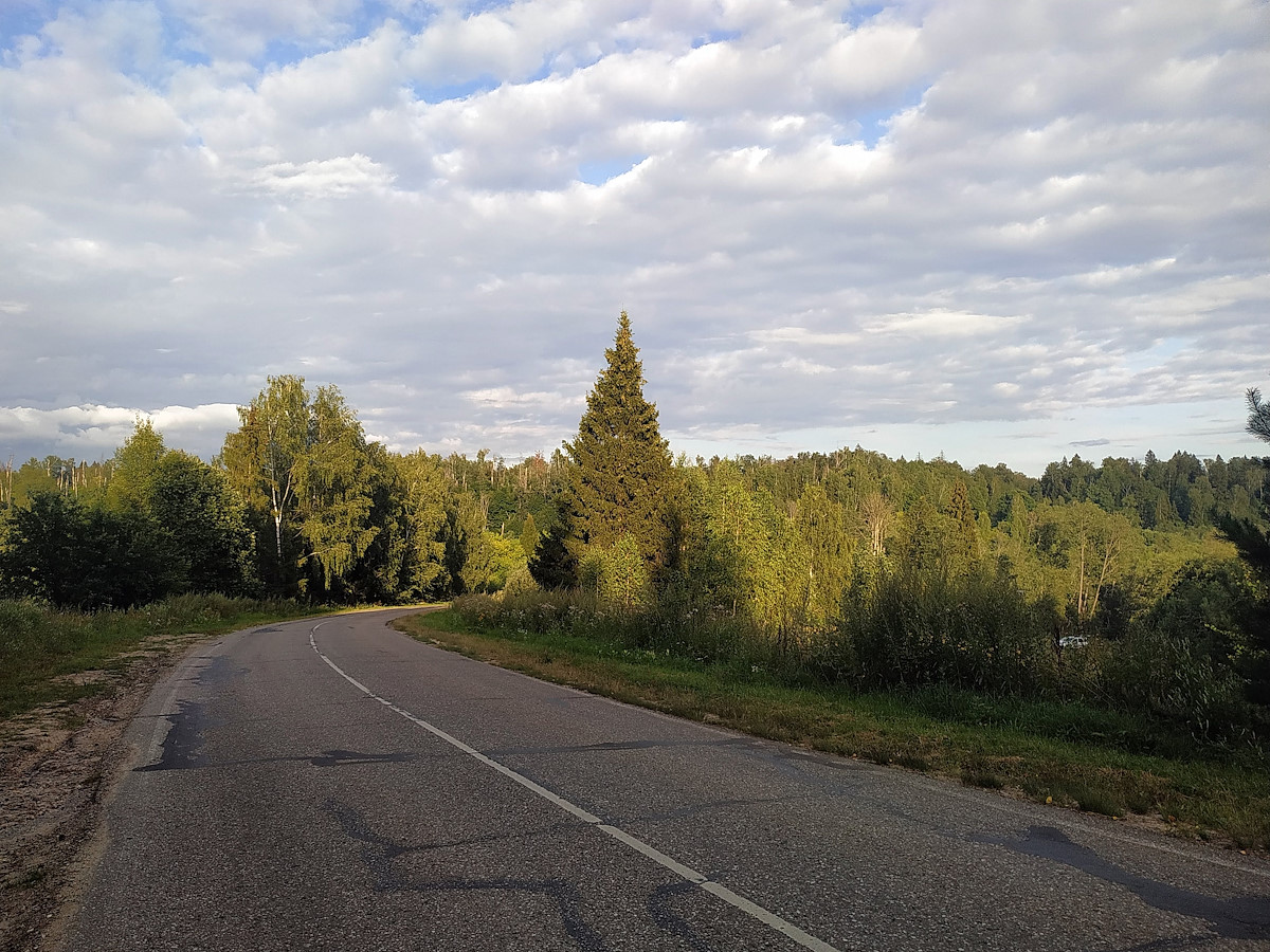 Подмосковье. Август. Вечер.