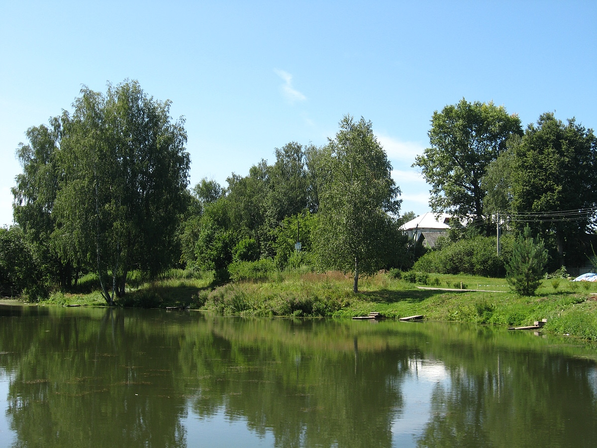 Село Введенское. Пруд.