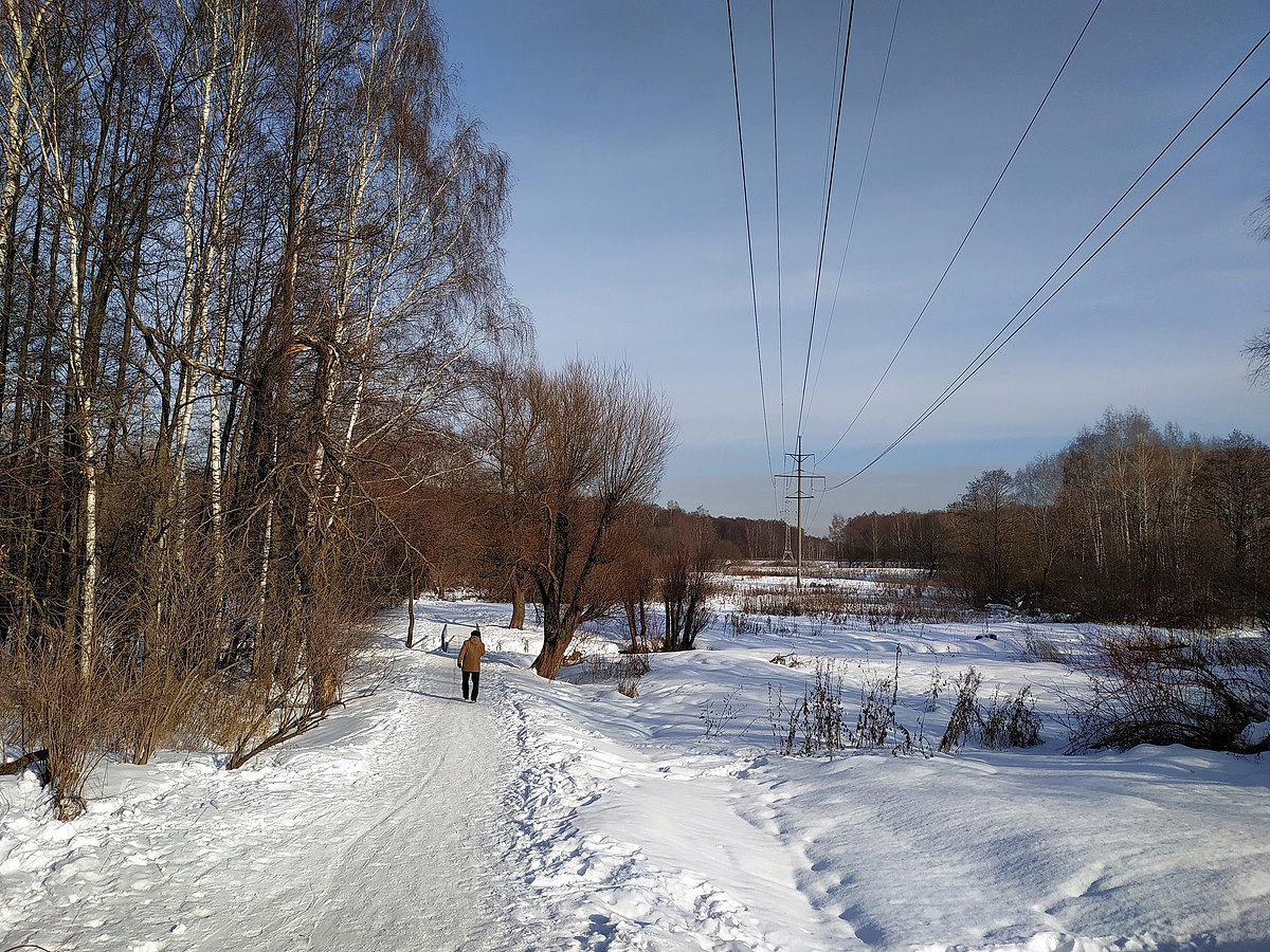 Измайловский парк