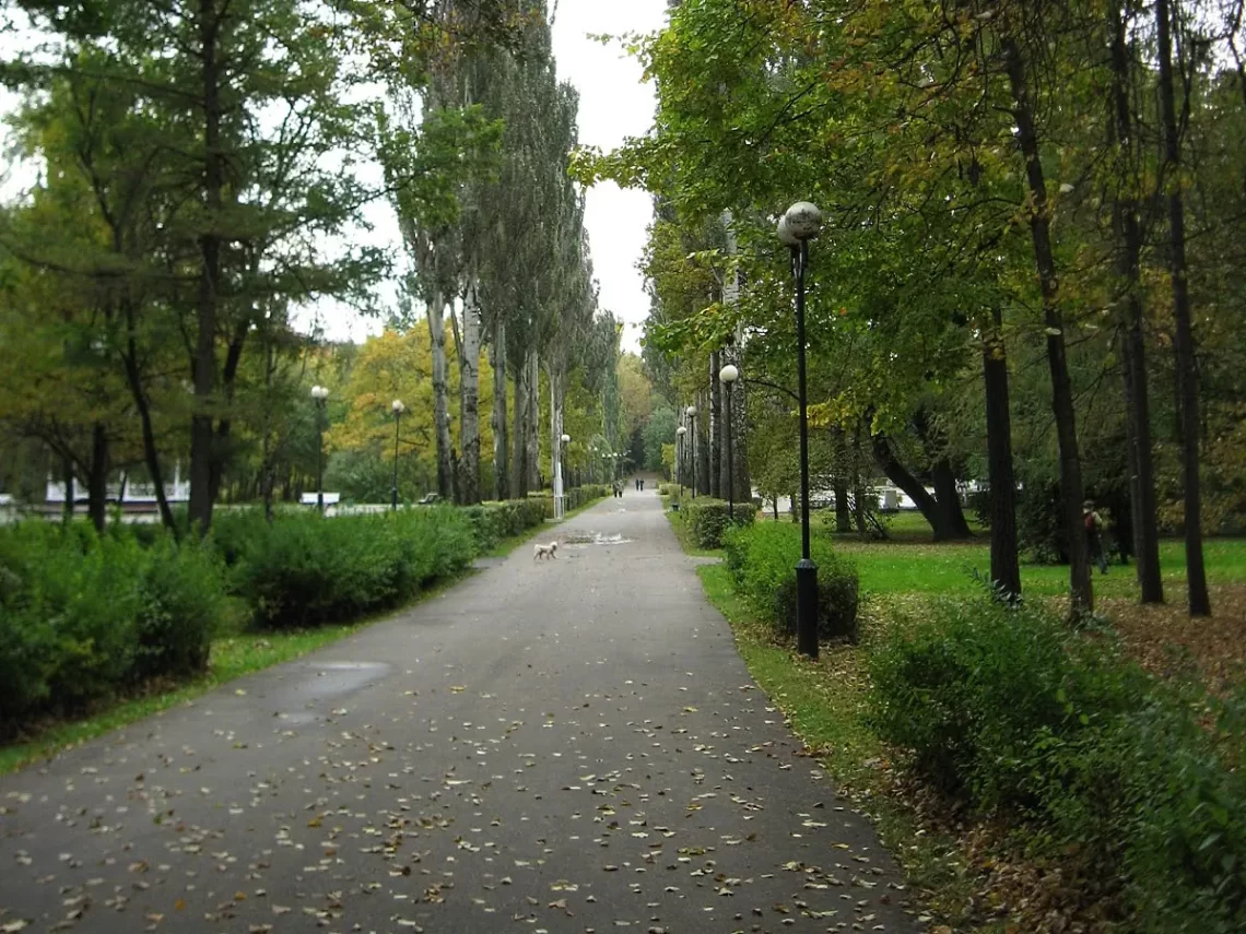 izmaylovsky park 2009