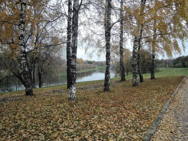 черкизовский парк