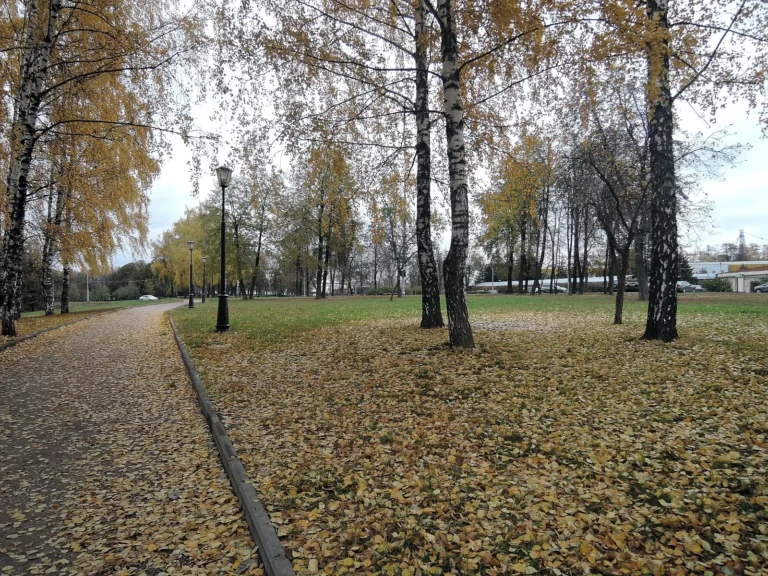 черкизовский парк