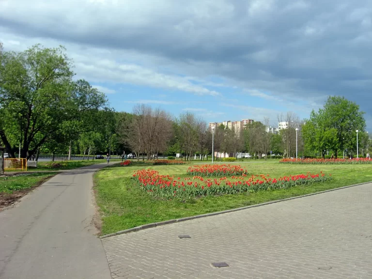 гольяновский парк