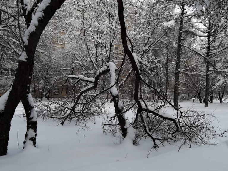 гольяново снегопад 2018