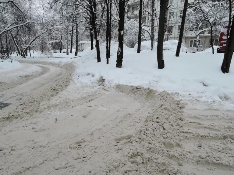гольяново снегопад 2018