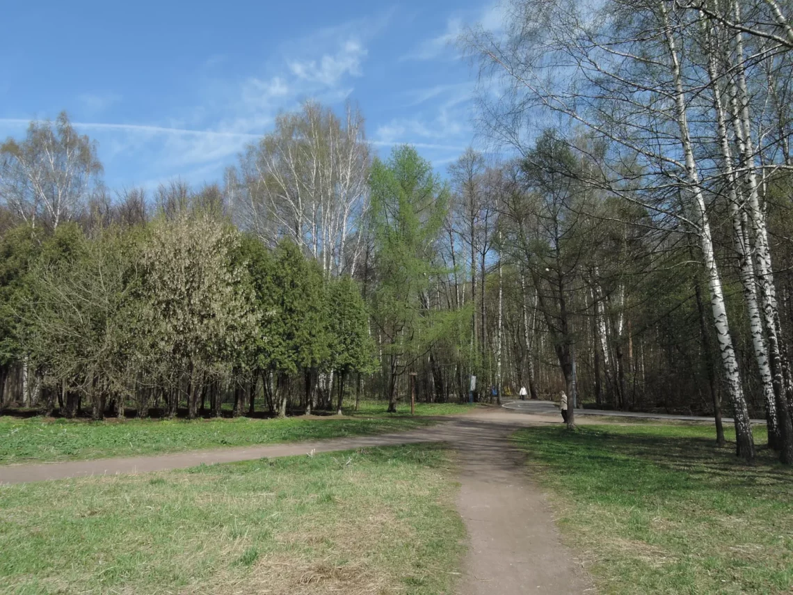 izmaylovsky park 2016 1