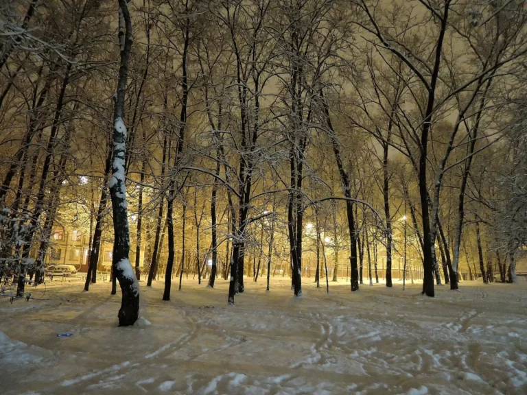 гольяново зима вечер