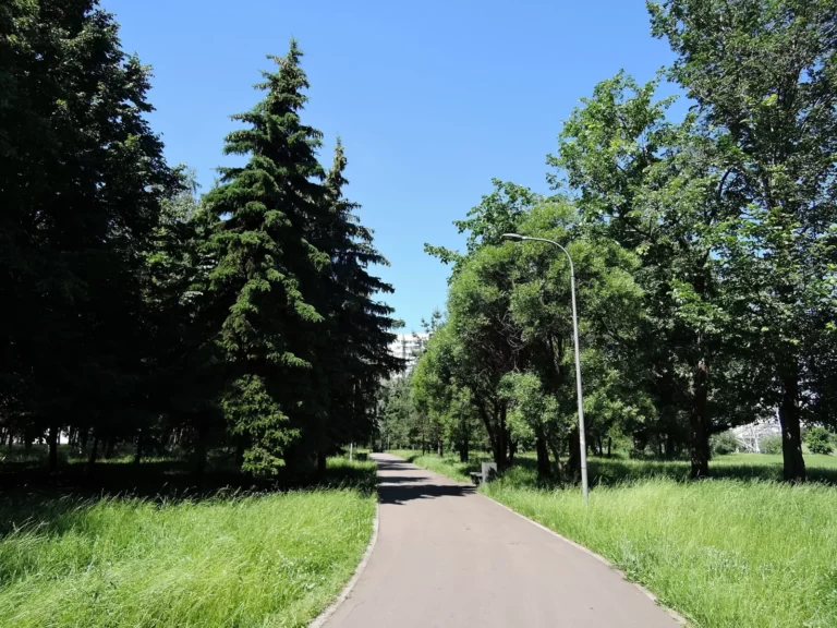 парк 850-летия москвы