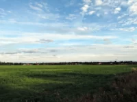 clover field 2018