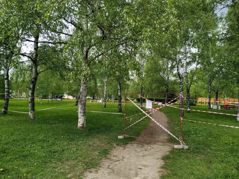 гольяновский парк 2020