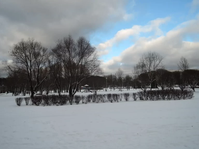 гольяновский парк декабрь 2015