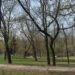 golyanovo park 2009