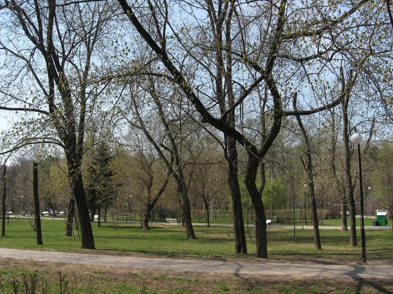 Гольяновский парк